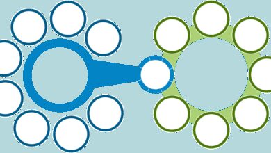 erp for food manufacturing