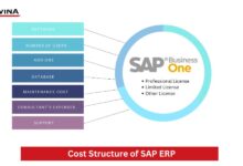 SAP ERP cost