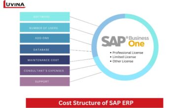 SAP ERP cost